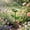 Green, variant on Metal Flower Pollinator Watering Station Garden Stake Butterfly Bee Hummingbird Feeder Outdoor Yard Decor Rustproof Waterproof