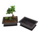 thumbnail image 3 of Maceta De Plástico Cuadrado Flor Bonsai Bowl Vivero Macetas Con Bandejas Para Decoración De Jardín 3 Uds Kearding TO003923-00, 3 of 5
