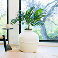 thumbnail image 4 of Good Pet Stuff Hidden Cat Litter Box Enclosure with Artificial Plant, Odor Filter System, Original Round Planter, Base Kit, White Birch, 4 of 18