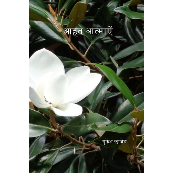Aahat Atmaen, (Paperback)