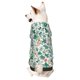 thumbnail image 1 of Fotbe Floral In Teal Sudadera con Estampado para Perros Pequeños – Suéter con Capucha para Mascotas, Tela Suave de Forro Polar con Bolsillo-X-Large, 1 of 7