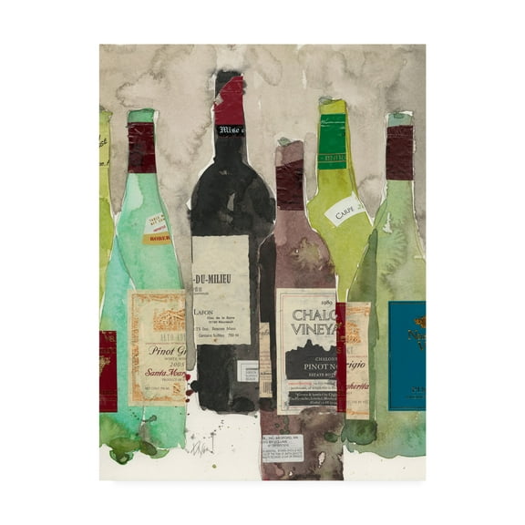 Trademark Fine Art 'Red or White I' Canvas Art by Samuel Dixon