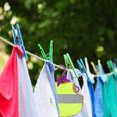 thumbnail image 2 of 5pcs Creative Pearl Modeling Pet Apparel Hangers Pet Clothes Hanging Racks, 2 of 8