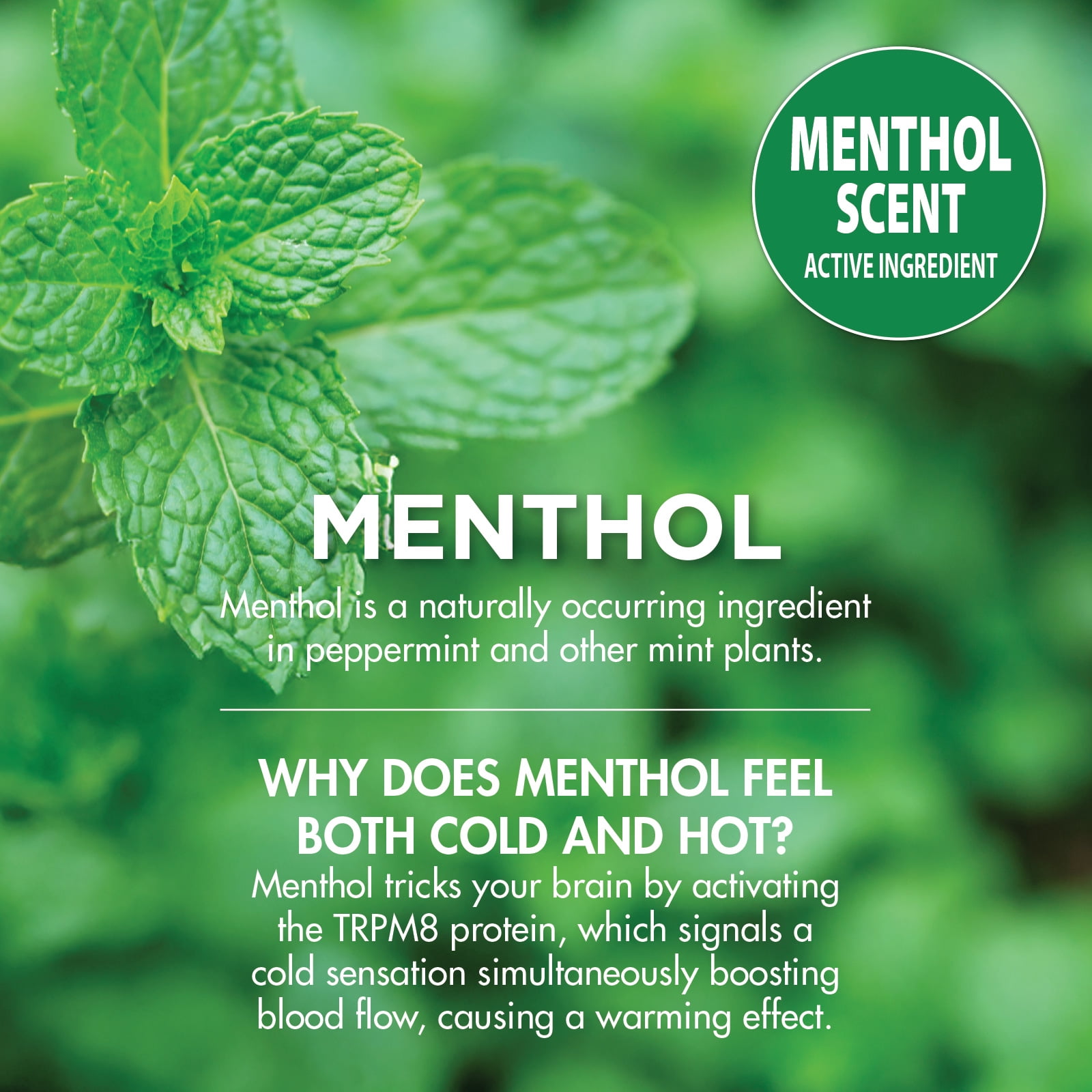 HealthWise 16% Menthol Pain Relief Spray | Cold Hot Sensation | 4 oz. 113g | Non-Greasy Formula | Immediate Penetrating Action | External Analgesic