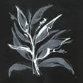 thumbnail image 2 of Paschke, Chris 20x20 Black Ornate Wood Framed with Double Matting Museum Art Print Titled - Chalkboard Branch II, 2 of 4