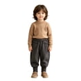 thumbnail image 4 of FYDUU Toddler Boys Sweatpants Elastic Waist Casual Joggers Fall Winter Pants Solid Color Comfort Fit Trousers Back To School Clothes Vacation Pants 12-24 Months, 4 of 9