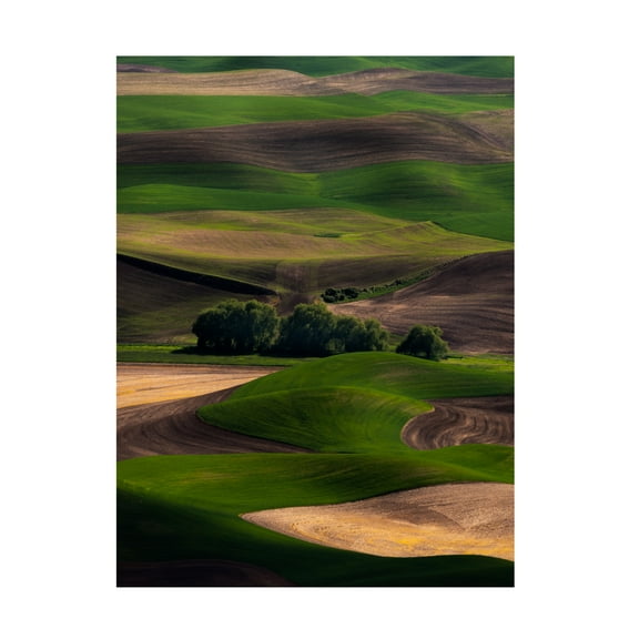 Canvas Wall Art - Ron Langager 'Rolling Dreams' Wall Art for Living Room, Bedroom, or Office Décor by Trademark Fine Art - 14 x 19 Inches