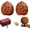 B2, variant on Jade Walnuts, Chinese Walnuts Fidget,2026 New 2Pcs Chinese Walnuts Fidget for Hand Exercise, Natural Massage Balls with Gift Box & Brush,Form Raw Shell to Jade Like Gem