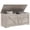 Grey, variant on HOMCOM Storage Chest for Living Room, Storage Bench, 39.4"W, Black