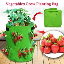 SUNRISEUMBRELLA 10 Gallon Strawberry Planter Strawberry Grow Bags Large Breathable Grow Bags for Fruits, Flower, Vegetables Non-Woven Fabric Bag with Handles (1 Pack)