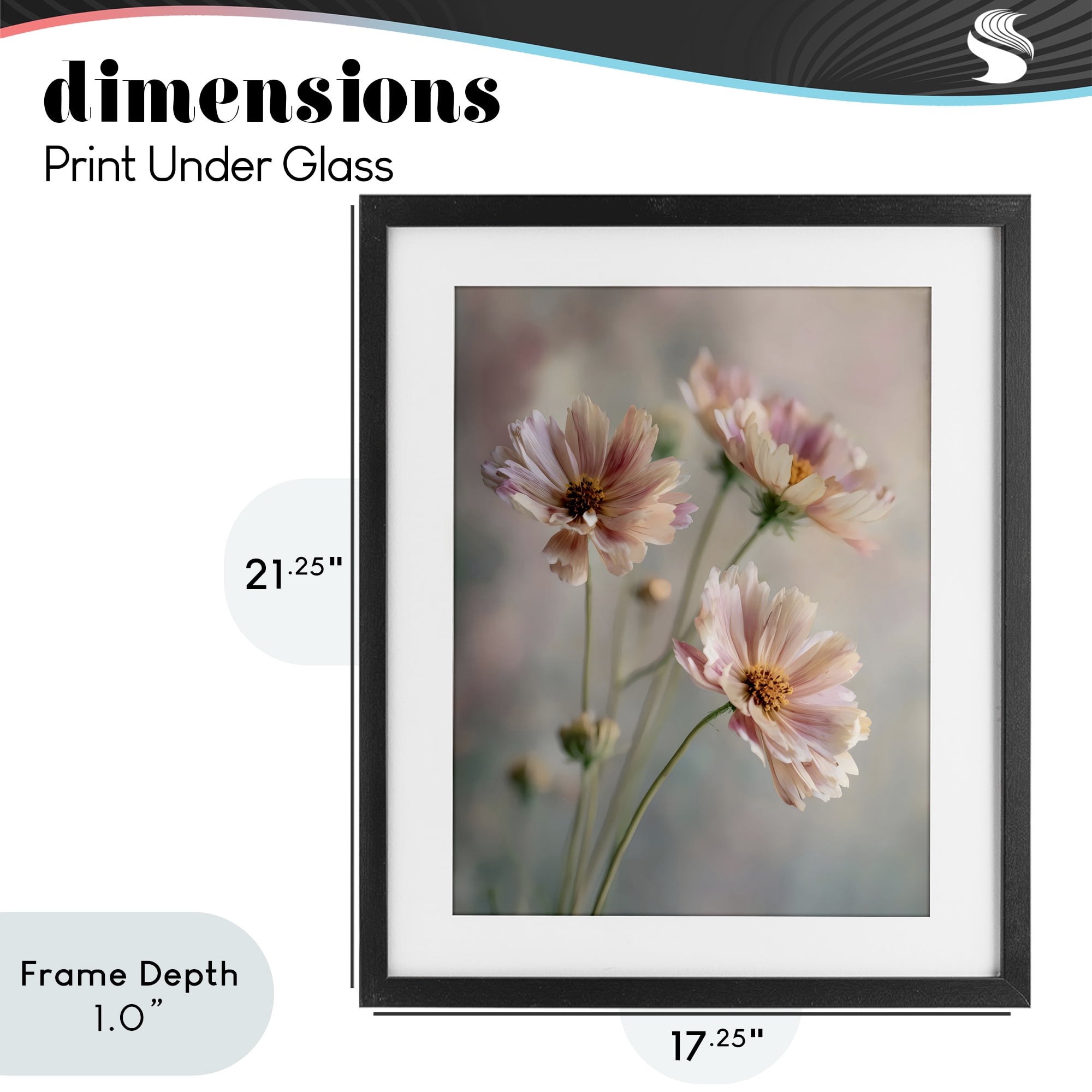 Stupell Industries Pink Daisies Close Up Black Framed Print Under Glass, design by Franklyn Gregory