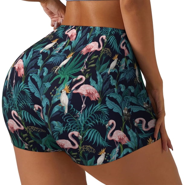 Balery Flamingos And Birds Pantalones cortos de entrenamiento estampados para mujer, sin costuras, ajustados, para gimnasio, yoga, correr, deportes, ejercicio activo, fitness.-X-Large