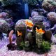 thumbnail image 4 of IDEANATEGRATE Accesorio Para Acuario Con Cueva Decorativa Multicolor Para Peces, 4 of 7
