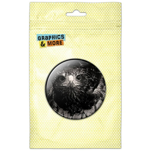 Hawk on Black and White Raptor Avian Pinback Button Pin Badge