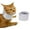 Grey, variant on Cat Neck Brace Cover - Breathable & Adjustable Elizabethan Collar for Post-Surgery Recovery Anti-Scratch Anti-Lick Protection, Cervical Cone for Small Medium Large Dogs Puppies Kittens (Small,Pink)