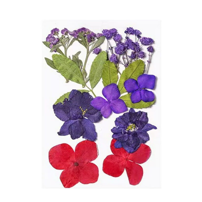WNFJR Dried Flower Bookmarks, Dried Flower Bookmarks Kit