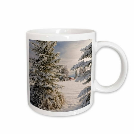 

3dRose Classic red barn and snow scene Kalispell Montana - Ceramic Mug 15oz (mug_279194_2)