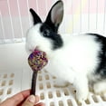 thumbnail image 4 of BESTSKY 10Pcs Rabbit Chew Toys,Nutrient-Rich Rabbit Toys,High-Fiber Guinea Pig Toys for Dental Health,Combination, 4 of 5