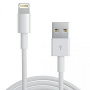 USB Wall Charger Adapter and Lightning USB Cable Charger 5 5s 6 6s 7 8 Plus X XS 1m/3FT