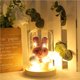 thumbnail image 2 of Bewildely Rosas LED y luces de cadena de cuento de hadas con cúpula de vidrio para regalo de San Valentín Lámparas de rosas de Navidad Almacenamiento y organización del hogar Bewildely HA023271-00, 2 of 6