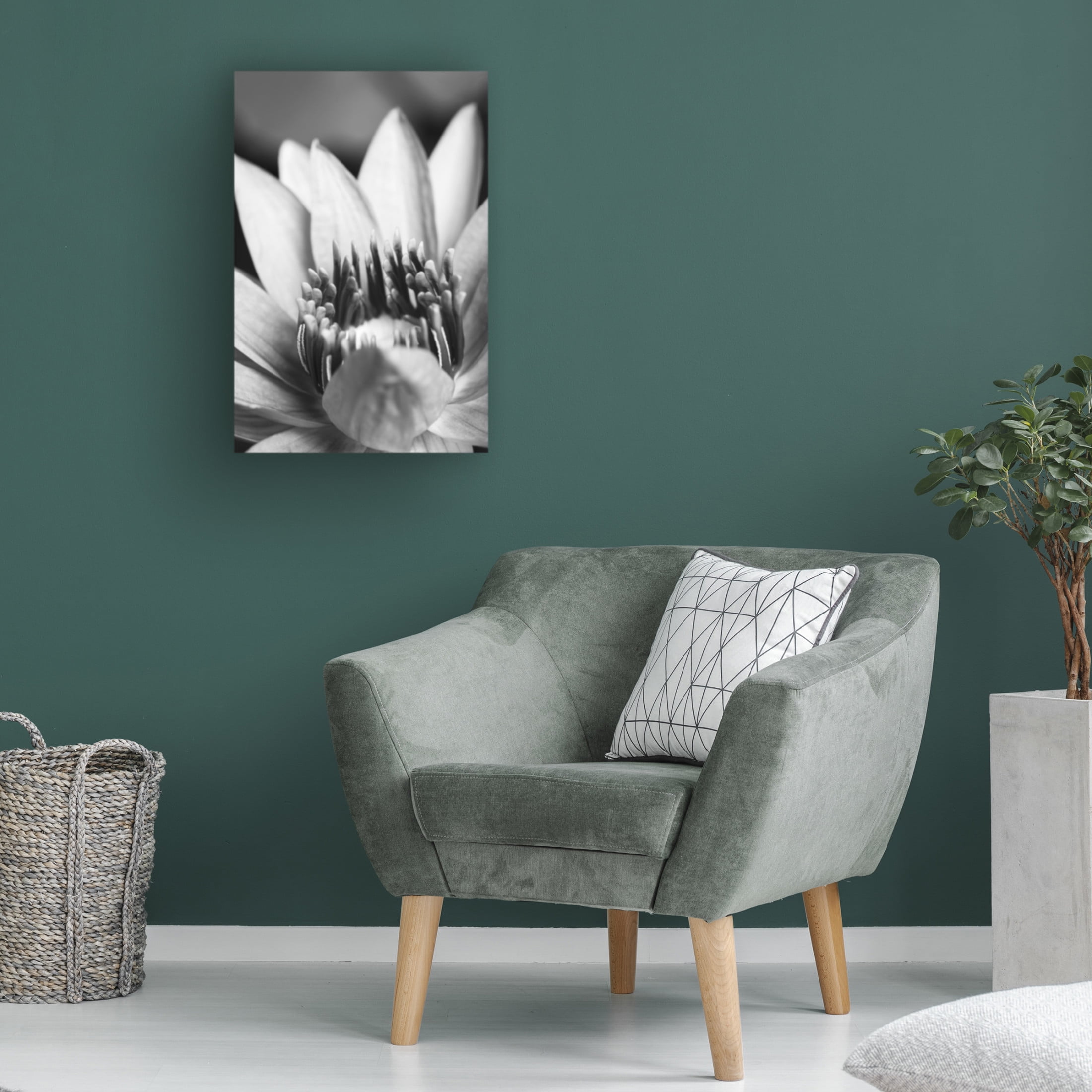 Trademark Fine Art Pictufy Studio Flower, Close Up Canvas Wall Art