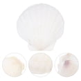 thumbnail image 3 of EeaseMX 10 piezas de conchas de vieira blancas, conchas marinas grandes de concha natural, material para manualidades decorativas, 3 of 7