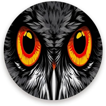 

Tangkunup Face Owl Pattern Coasters Absorbent Drink Coaster Ceramic Stone Coaster with Cork Base Desktop Protection Mat for Home Decor 4PCS