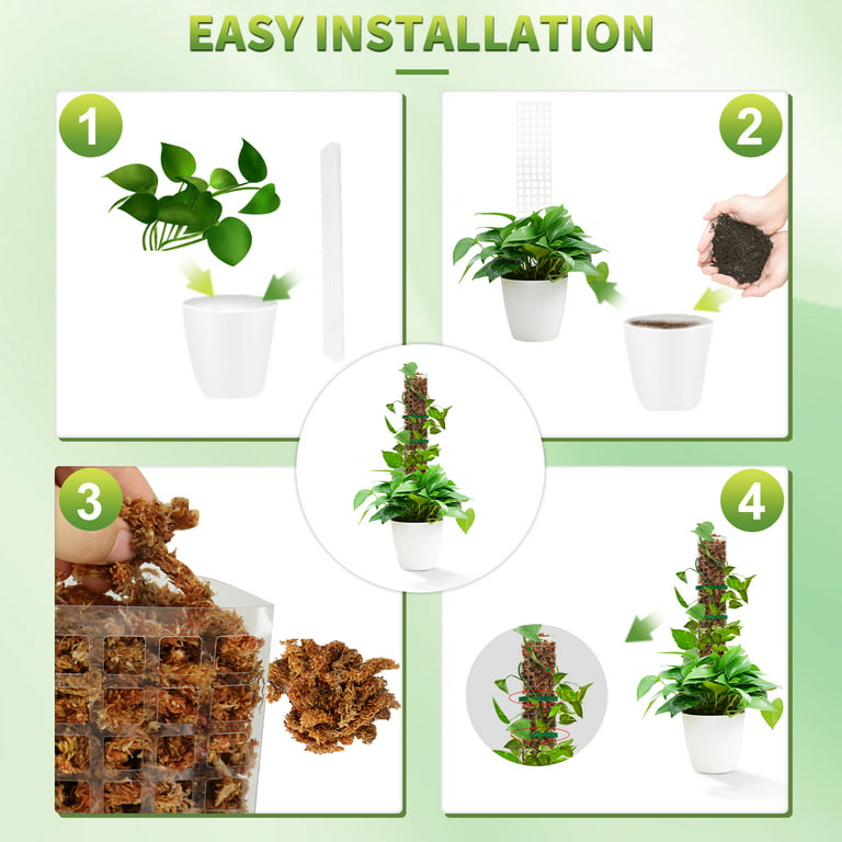 Self Watering Moss Pole -   Plant decor indoor, Plants, House plants  indoor