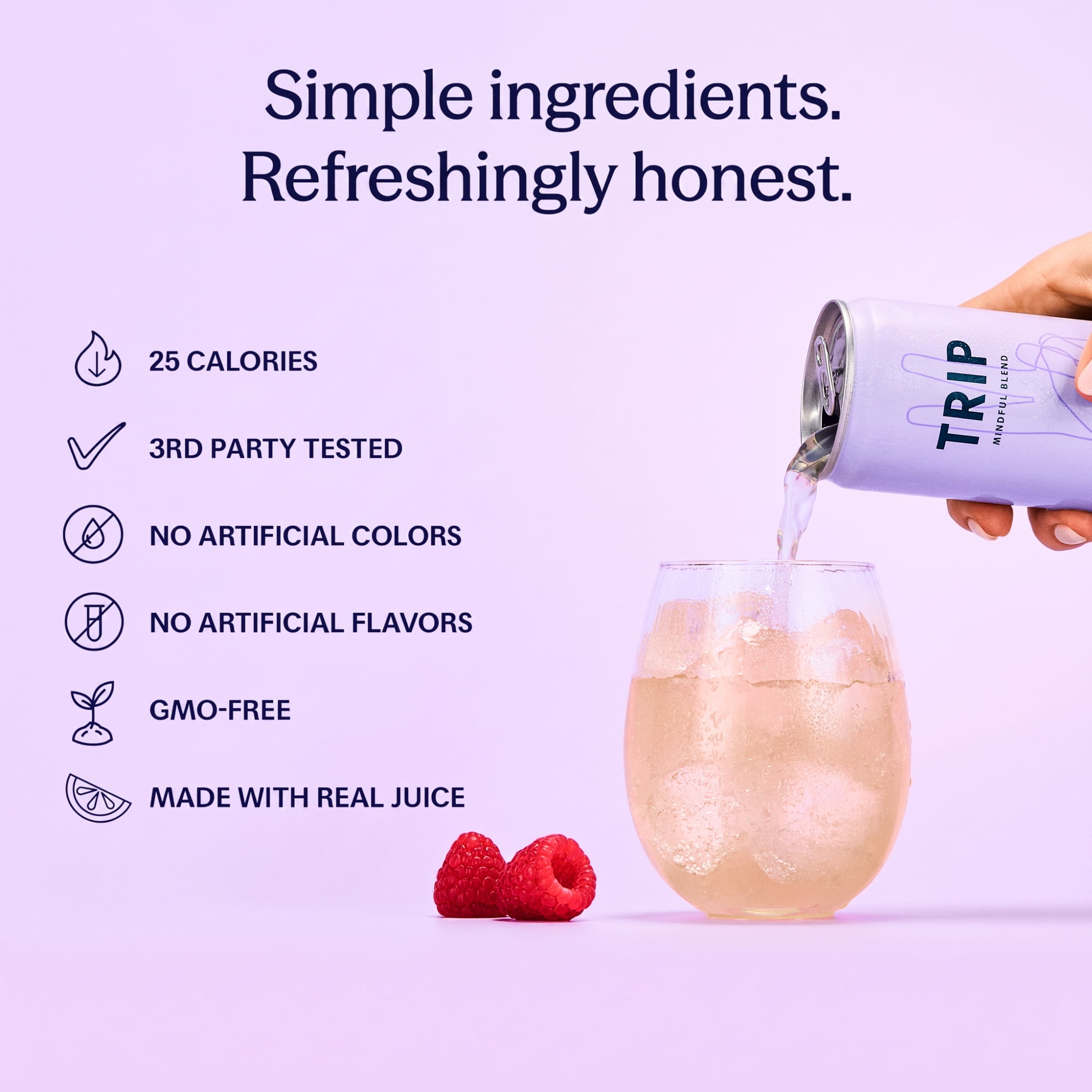 (12 pack) TRIP Lightly Sparkling Non-Alcoholic Drink with Magnesium, Ashwagandha, Lion's Mane & L-Theanine, No Added Sugar Mocktail, Vegan, Raspberry Blossom 12 fl oz