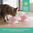 thumbnail image 4 of Kitty City Dishwasher Safe Plastic Elevated Cat Bowls, 2-Pack Set, Pink Cat Ears, One Size, 4 of 5