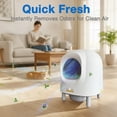 thumbnail image 2 of Aoruefar Pet Odor Eliminator Deodorization Box for Self Cleaning Cat Litter Box, Contains 2 Packs , Compatible with Aoruefar Automatic Cat Litter Box, 2 of 8