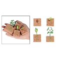 thumbnail image 4 of Kit De Modelo De Crecimiento De Plantas De Frijol Verde, Juguetes Educativos Para Niños, Juguetes De Ciencia Biológica Yuarrent HA034849-00, 4 of 6