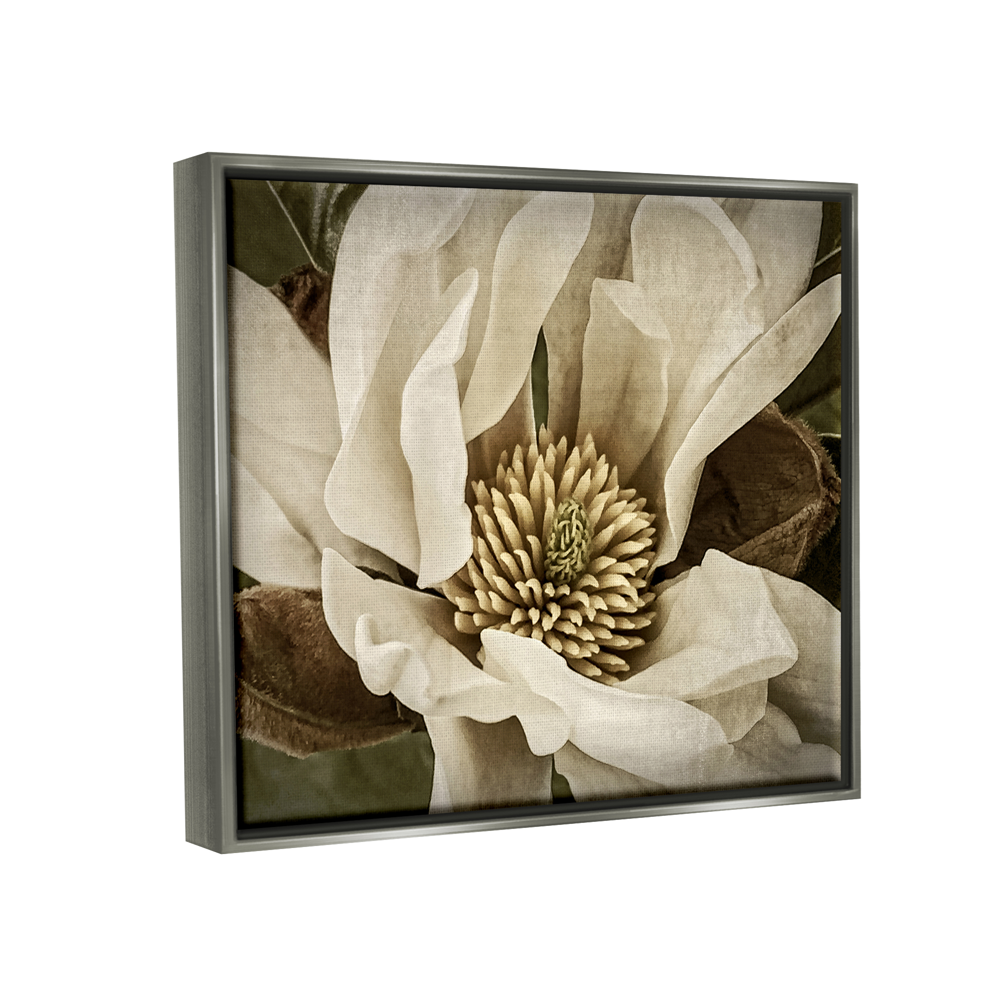 Stupell Industries Rustic Flower Close Up Botanical & Floral Photography Gray Floater Framed Canvas Art Print Wall Art, 31 x 25
