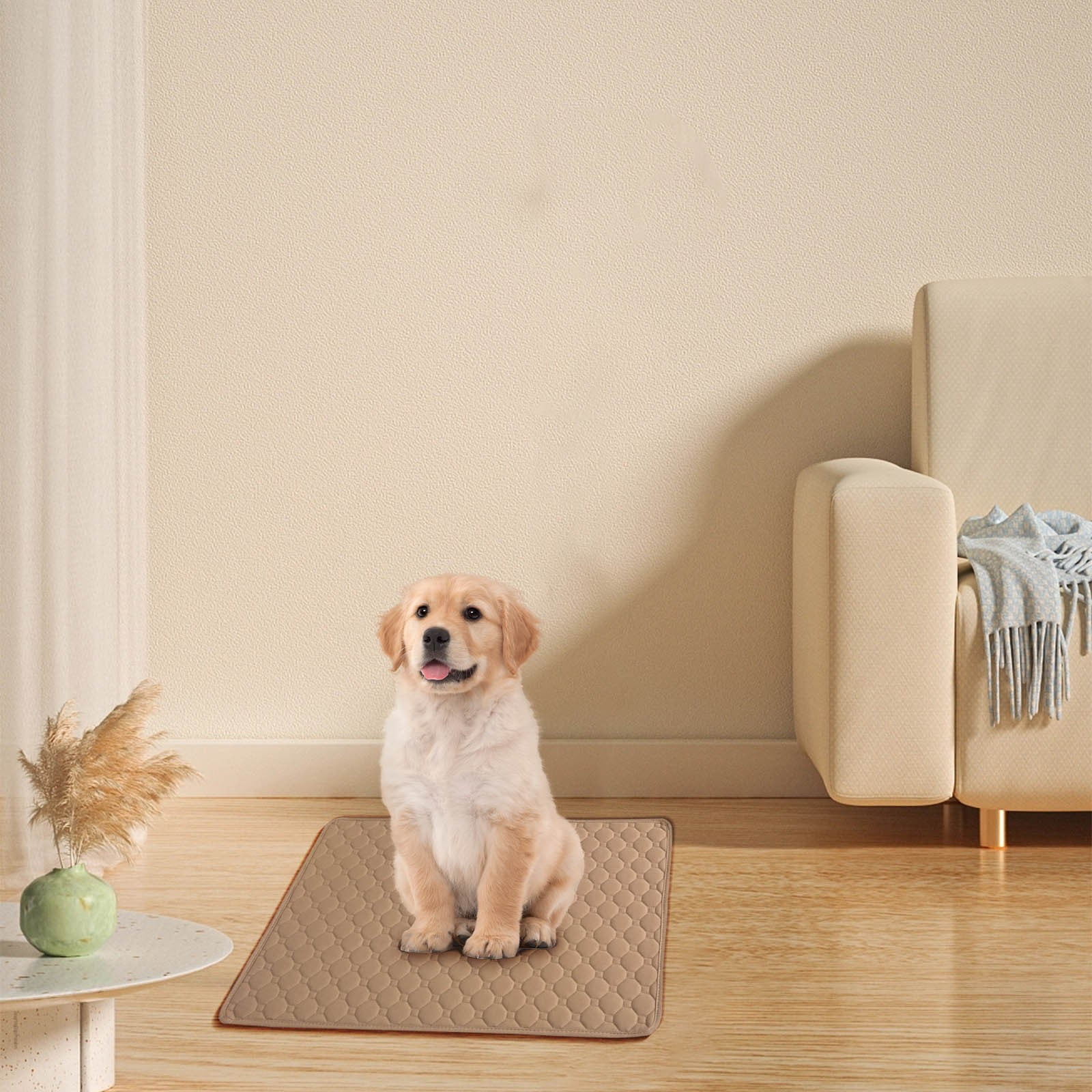 3 Pcs Thickened Pet Urine Pad for Deodorization Waterproof and Instant Water Absorption Washable Easy To Dry Reusable Pet Training Pee Pad for Floor, Sofa, Whelping, Training, Playpen Crate