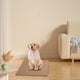 thumbnail image 5 of Almohadilla Reutilizable Para Orina De Perro, Tapete De Entrenamiento Lavable Para Mascotas, Almohadilla Absorbente De Secado Rápido Para Cachorros, Uso Interior Y Exterior, 5 of 8