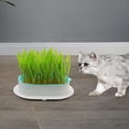 thumbnail image 2 of Bandeja Catnip Caja de con Agujeros Bandeja Reutilizable Soil Free Brotación Blanco verde Yuyangstore Bandeja de semillas, 2 of 8