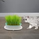 thumbnail image 2 of Bandeja para germinar semillas, caja para cultivar hierba gatera y pasto de trigo, desmontable para gatos. Blanco verde, 2 of 9