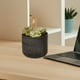 thumbnail image 4 of Maceta para suculentas | Maceta de escritorio de plástico para interiores - Fondo antideslizante | Mini contenedor de plantas decorativo brillante | Blanco Negro Gris | los 9.5x9.5x8cm | 1 paquete |, 4 of 5