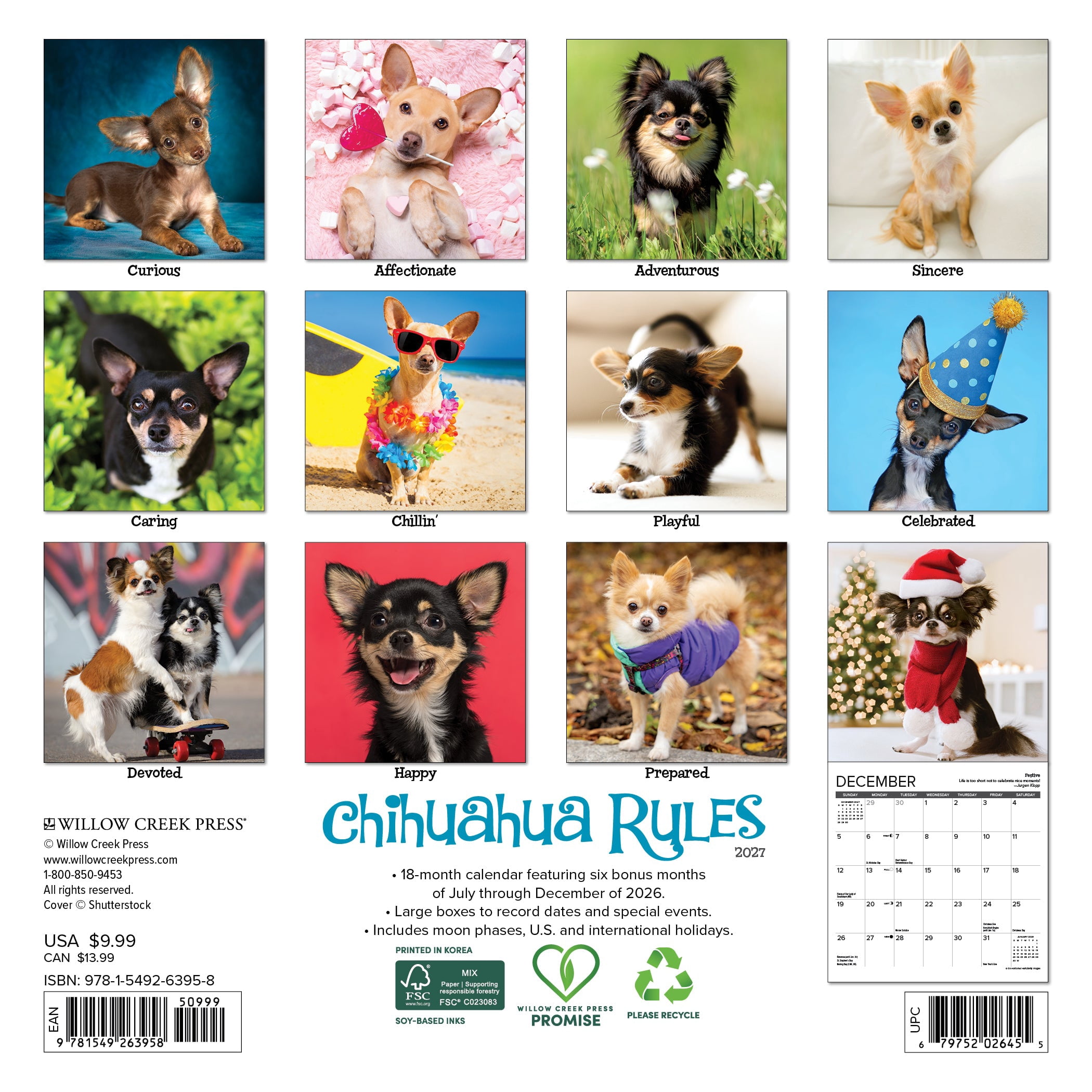 Willow Creek Press, Chihuahua Rules 2027 Mini Wall Calendar