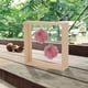 thumbnail image 3 of Marco de exhibición de flores secas Caja de exhibición de sombra Marco de madera Marco de muestra, 3 of 6