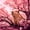 Capybara 02, variant on Homewish Kawaii Capybara Zipper Twin Comforter Sets with Fitted Sheet and 2 Pillowcases for Boys Girls, Pink Floral Cherry Blossoms Zipper Bedding Set,4-Piece,Pink Reversible