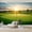 Color 3, variant on Wallpaper Close Up Baseball Red Stitching Wear Marks Peel and Stick Wall Murals 69"H x 96"W Removable PVC Wall Paper Self-Adhesive Wall Paintings Art Decor for Bedroom Living Room