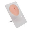 thumbnail image 3 of Soft Belly Part Model, Acupuncture Silicone Display Soft Belly Button Model  For Teaching Light Skin Color,Medium Skin Color,Dark Skin Color, 3 of 8