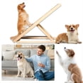 thumbnail image 3 of Dog Ramp for Bed Car Ramp Folding Pet Ramp Dog Stairs Cat Ramp Portable Dog Step, 3 of 11