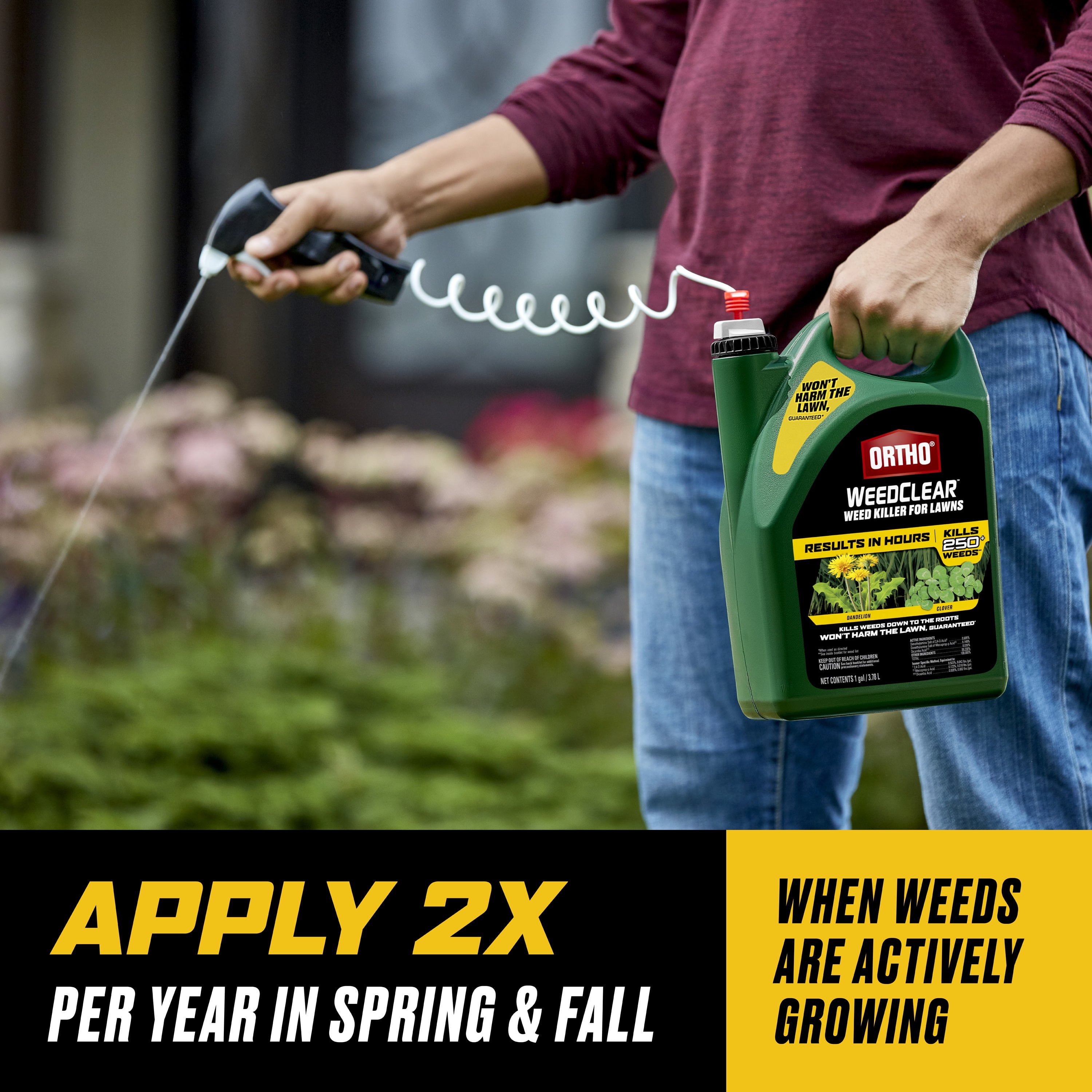 Ortho WeedClear Weed Killer for Lawns, 1 gal., With Trigger Sprayer