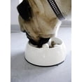 thumbnail image 2 of Dogit Comedero Para Perros Comedero Lento Para Comida Húmeda O Seca Go Slow Plato Para Perros Antigoteo Blanco M, 2 of 3