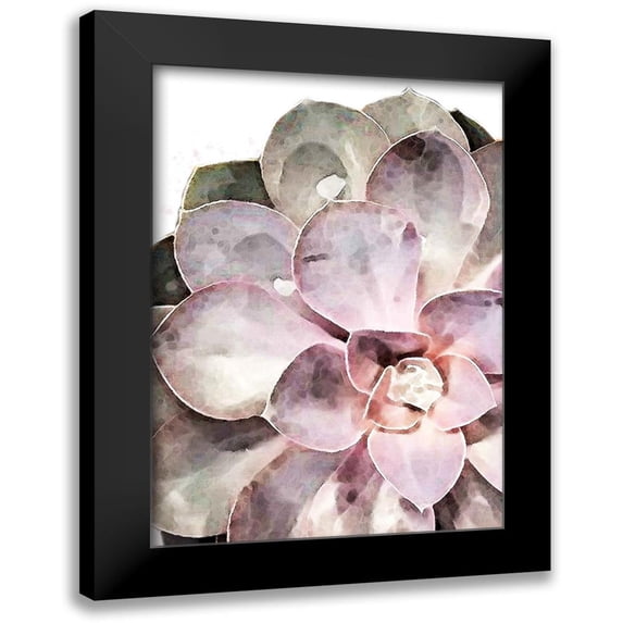 Artographie Studio 14x18 Black Modern Framed Museum Art Print Titled - Succulent Plant 04
