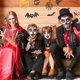 thumbnail image 3 of 28 piezas de dijes de personajes de películas clásicas de terror, colgantes de esmalte de Halloween, colgante de dije de aleación de terror f como se muestra, 3 of 5