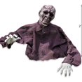 thumbnail image 4 of Brain Zombie Groundbreaker Halloween Decoration, Home Decor, Halloween, 8 Pieces, 4 of 4