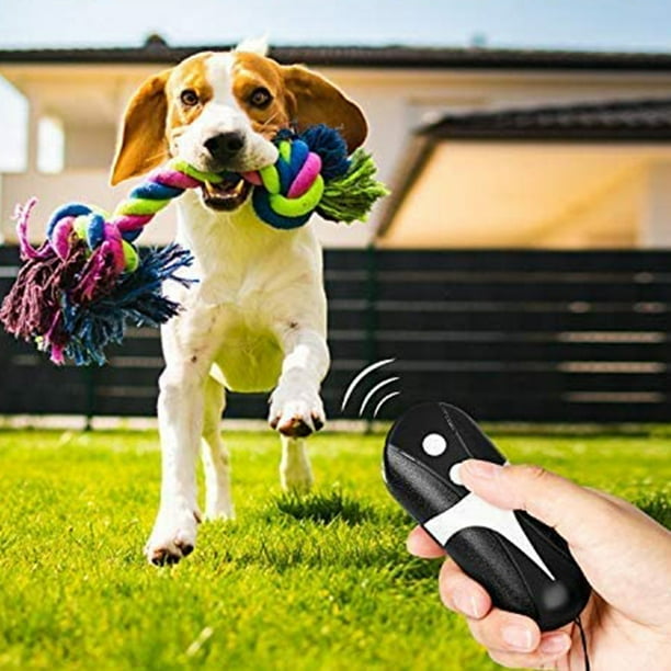 Anti bark dog trainer online